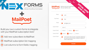 NEX-Forms - Mailster Add