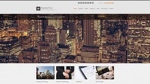 CSSIgniter BusinessTwo WordPress Theme