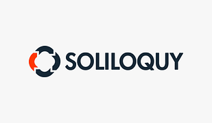 Soliloquy Themes Addon