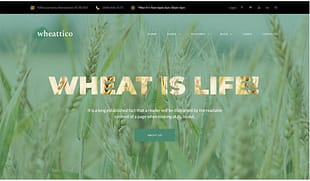 Wheattico - Crop Farm Responsive