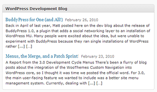 WPMU DEV Custom Google Search