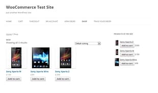 WooCommerce Products of the Day
