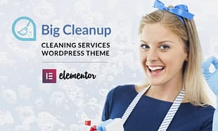 Big Cleanup - Cleaning Services