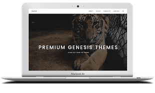 ZigZagPress Dune WordPress Theme