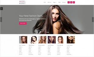 Model agency + VM Joomla Template