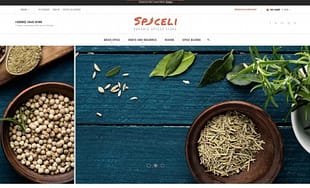 Spiceli Magento Theme