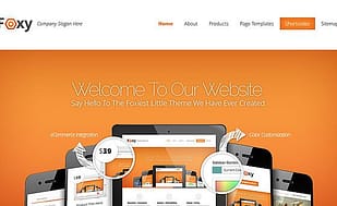 Elegant Themes Fable WordPress Theme