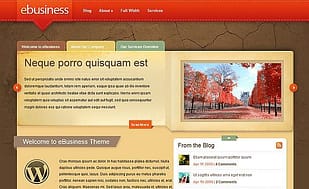 Elegant Themes eBusiness WordPress Theme