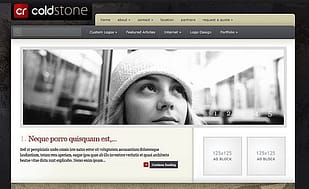 Elegant Themes ColdStone WordPress Theme