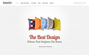 Elegant Themes LeanBiz WordPress Theme