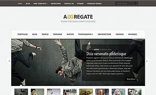 Elegant Themes Aggregate WordPress Theme