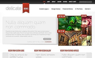 Elegant Themes DelicateNews WordPress Theme