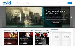 Elegant Themes eVid WordPress Theme