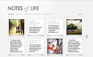 Elegant Themes DailyNotes WordPress Theme
