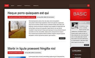 Elegant Themes Basic WordPress Theme