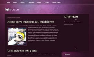 Elegant Themes LightSource WordPress Theme