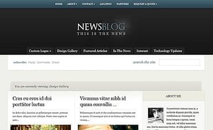 Elegant Themes eNews WordPress Theme