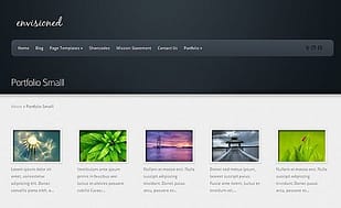 Elegant Themes Envisioned WordPress Theme