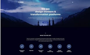 ITforse - Elegant Software Company Joomla Template