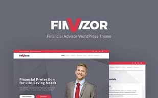 FinVisor Business Consultant WordPress