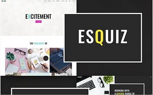 Esquiz - Design Studio WordPress