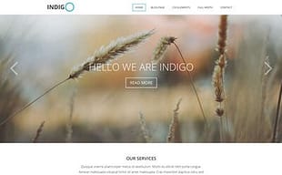 Viva Themes Indigo WordPress Theme