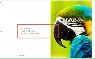 Zoo - Flora & Fauna Responsive Joomla Template