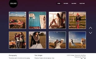 Viva Themes Collage WordPress
