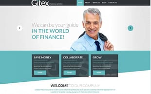 Gitex WordPress Theme