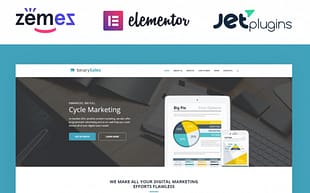BinarySales - SEO & Digital Marketing