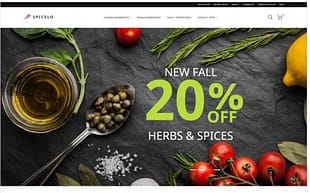 Spicelo - AMP Spice Shop Magento Theme
