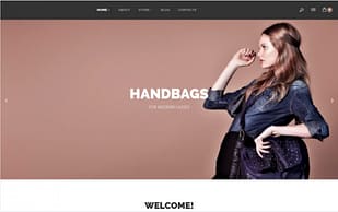 Handbags WooCommerce Theme