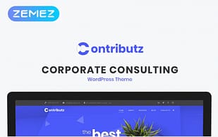 Contributz - Corporate Consulting Elementor