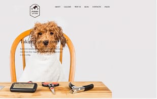 Furry - Pet Grooming WordPress