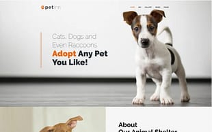 PetInn - Animal Shelter Responsive