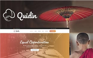 Quidin - Charity Fully Responsive