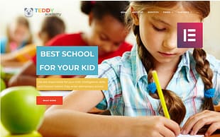 Teddy Academy - Primary School