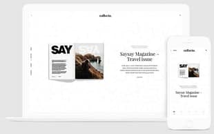 Themes Kingdom Collecto WordPress