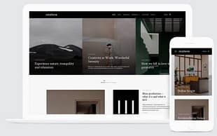 Themes Kingdom Reinform WordPress