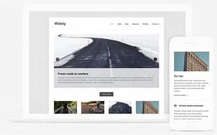Themes Kingdom Widely WordPress