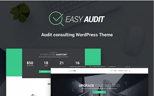 EasyAudit Auditing WordPress Theme