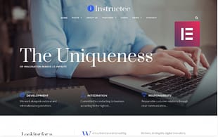 Instructee - Consulting Services Elementor