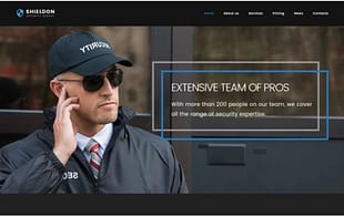 Shieldon - Security Agency Responsive