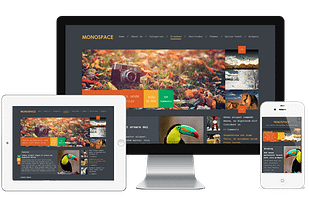 MyThemeShop Monospace WordPress Theme