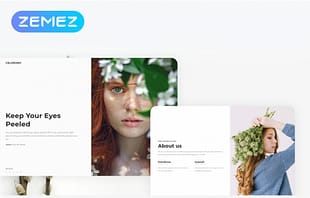 Celerony - Creative Splitscreen Elementor