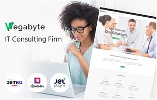 WegaByte - IT Consulting Firm