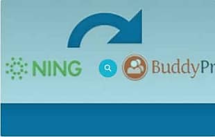 WPMU DEV Ning To BuddyPress WordPress Plugin