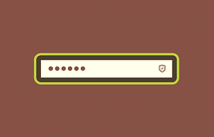 WPMU DEV Set Password