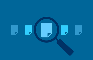 WPMU DEV Global Site Search