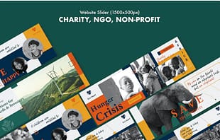 Charity, NGO, Non-Profit PSD Website Slider
